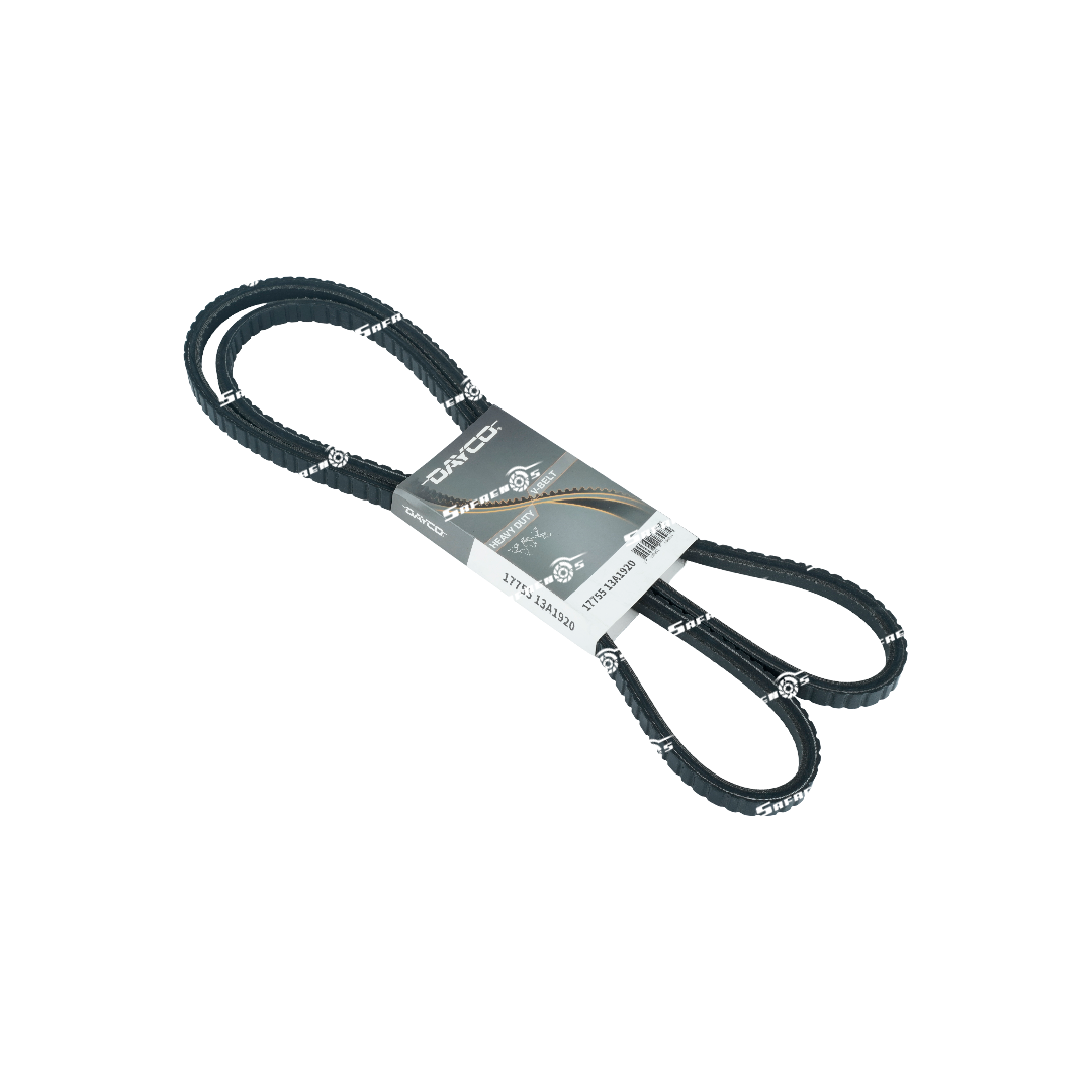Correa Dayco 17755 D Co Dodge D600 M-343: 13A