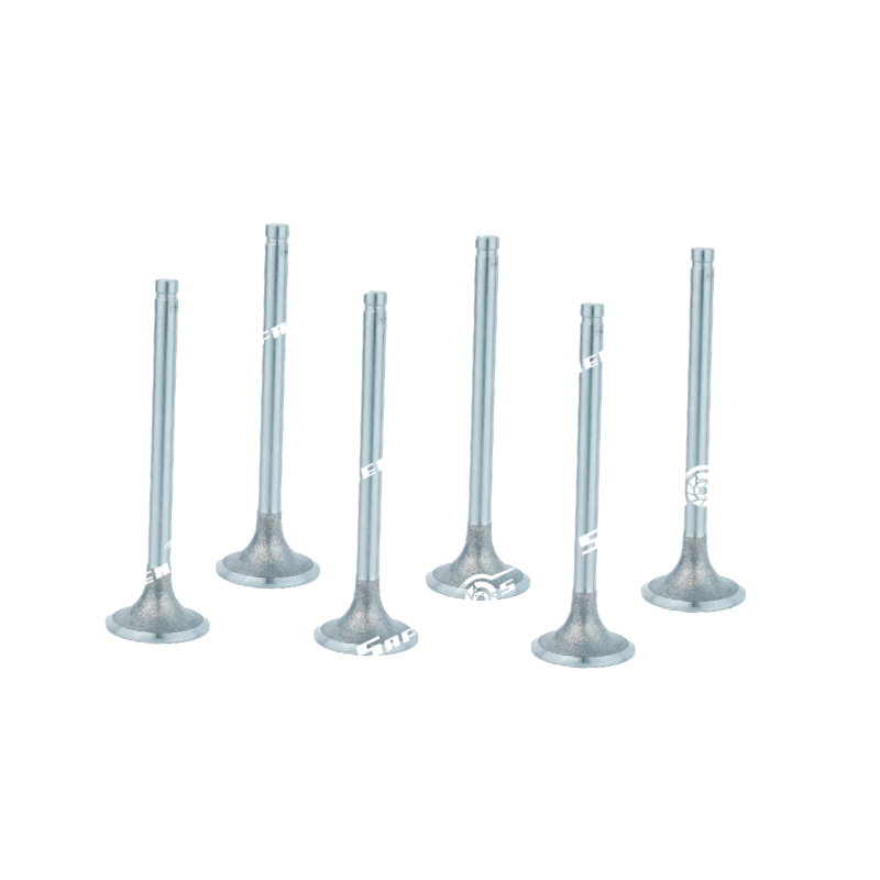Válvula de Admisión para HI DT360/D312/D360 5.9L/5.1L